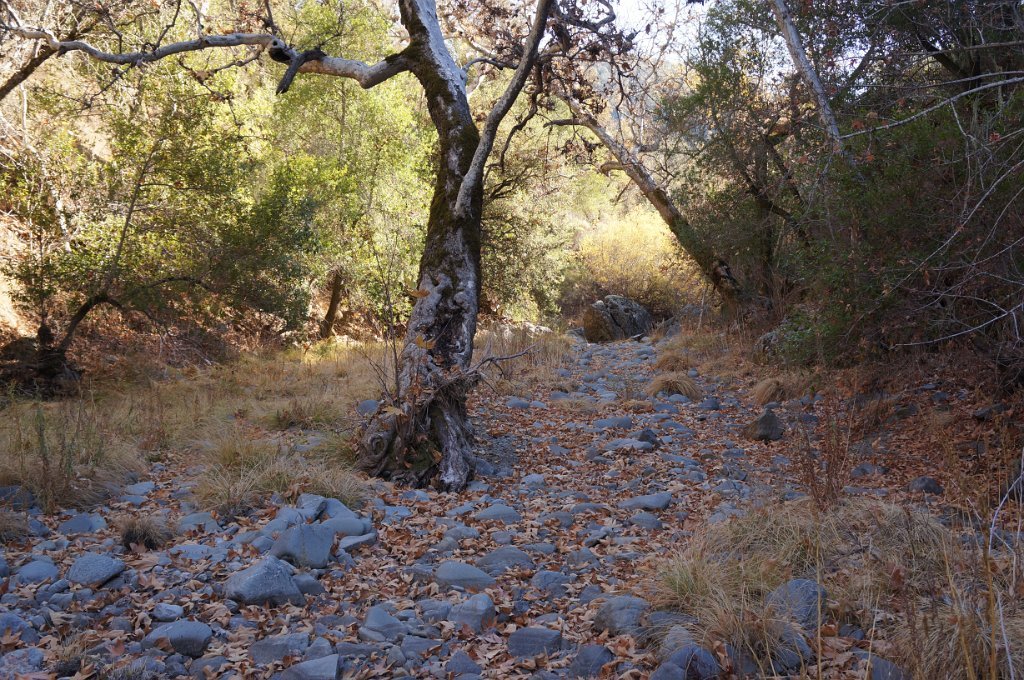 DSC07350