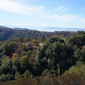 DSC07241