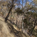 DSC07255