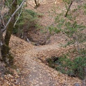 DSC07257