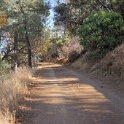 DSC07279