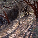 DSC07310
