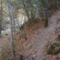 DSC07351