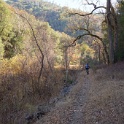 DSC07355