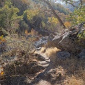 DSC07361