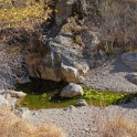 DSC07363