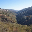 DSC07379