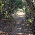 DSC07390