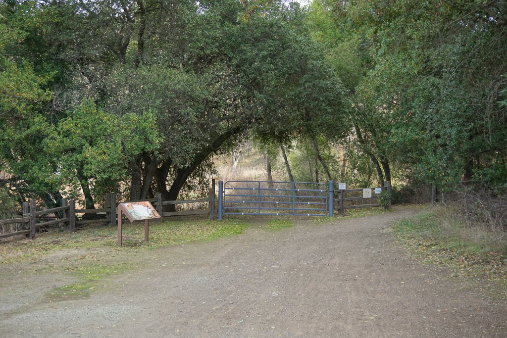 DSC00447
