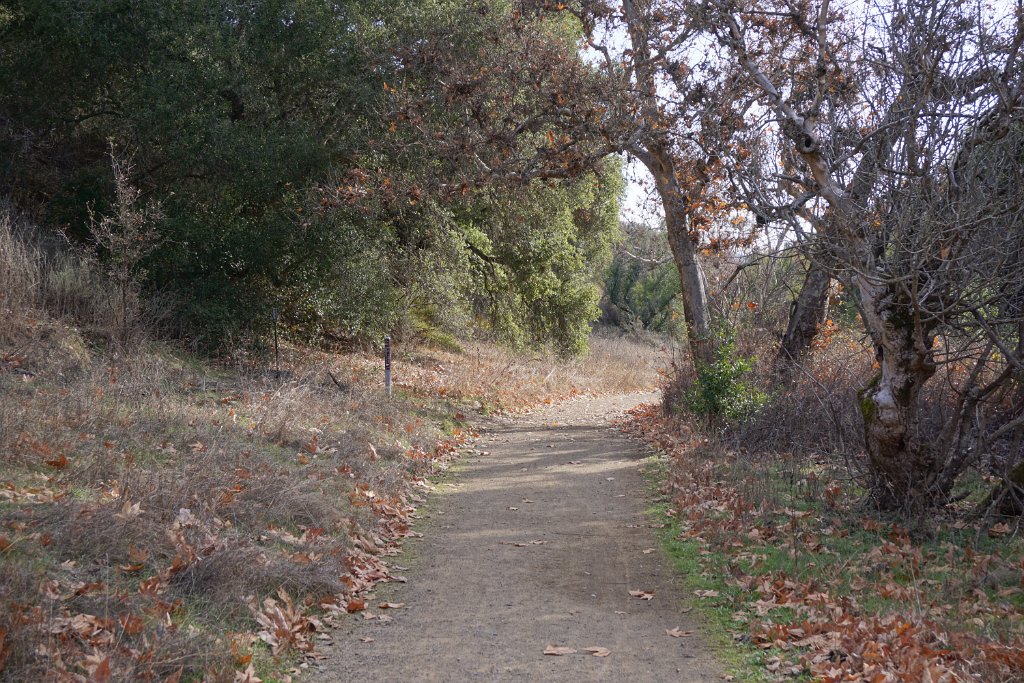 DSC00449