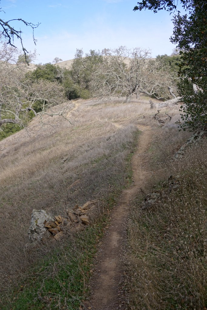 DSC00508