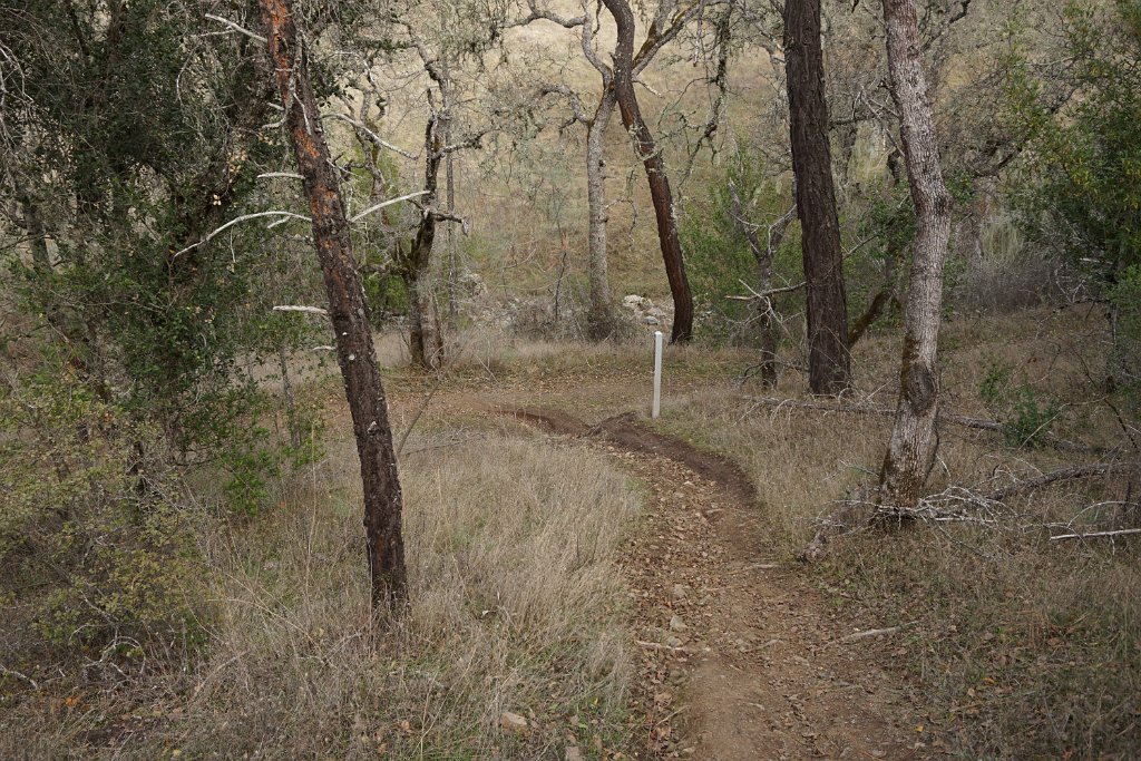 DSC00575
