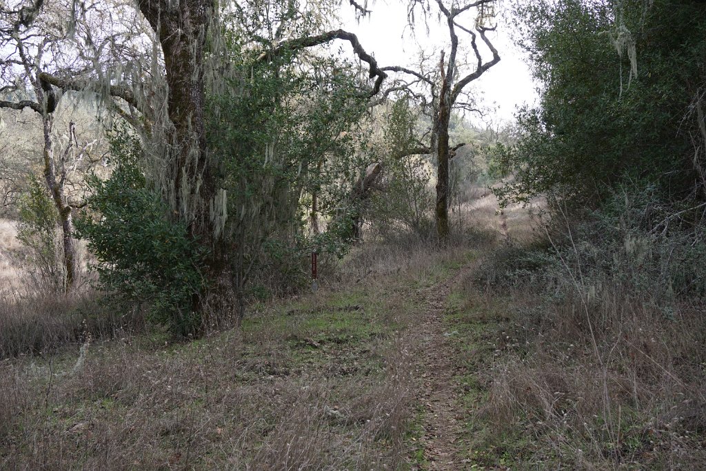 DSC00584