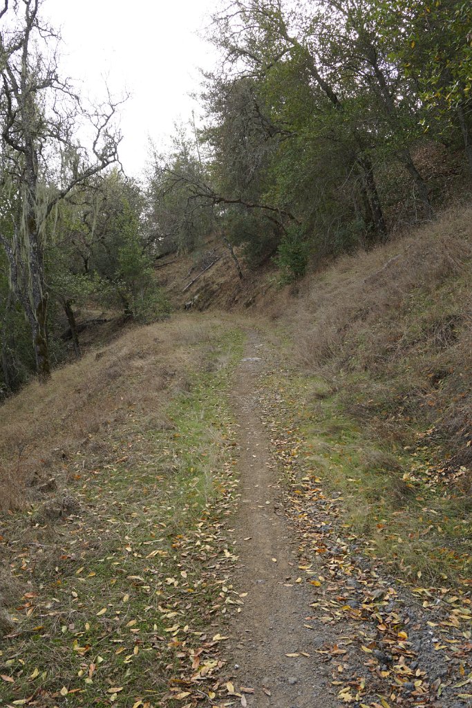 DSC00589