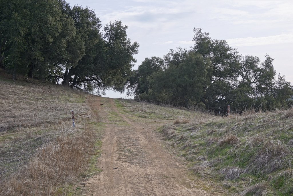 DSC00614