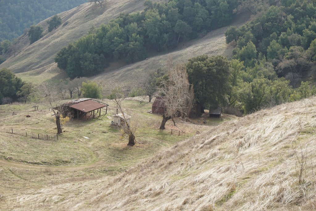DSC00619