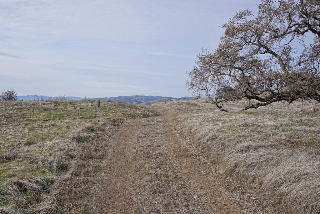DSC00631