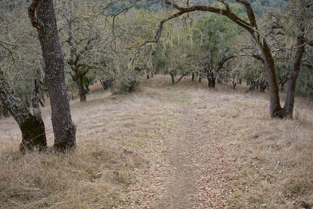 DSC00670