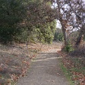 DSC00449