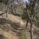 DSC00460