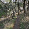 DSC00462