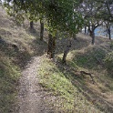 DSC00464