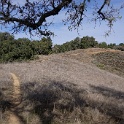 DSC00490