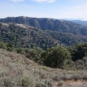DSC00504