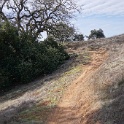 DSC00506