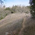 DSC00508