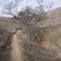 DSC00511