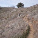 DSC00513