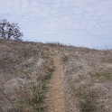 DSC00514