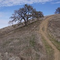 DSC00517