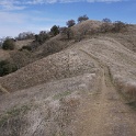 DSC00519