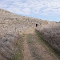 DSC00533