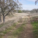 DSC00541