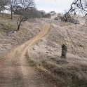 DSC00542