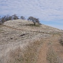 DSC00545