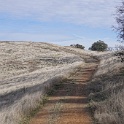 DSC00551