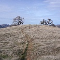 DSC00555