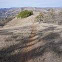 DSC00564