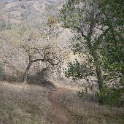DSC00568