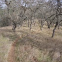 DSC00570