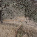DSC00572