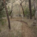 DSC00575