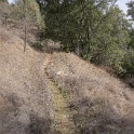 DSC00581