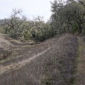 DSC00583