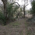 DSC00584