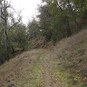 DSC00589